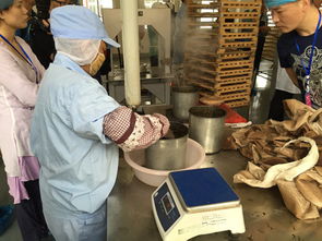 當高科技制茶機遇上傳統(tǒng)石磨 祥源易武工廠的文化體驗之旅